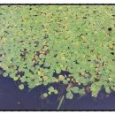 다산행정사사무소 이미지