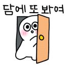 삼부스포렉스(2)