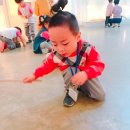 아해한국전통문화어린이박물관(아해박물관) 이미지