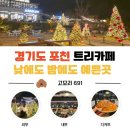 포천 | 포천 고모리691 후기｜2000평 트리카페 밤 풍경, 야외 애견동반가능
