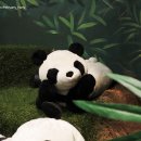 목마다방 이미지