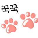 아이굿안경 이미지