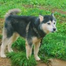 풍차마을 민박 이미지