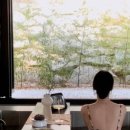 송이전집