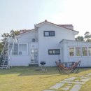 배드민턴스토리 이미지