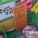 백두상회지곡점