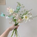 보리플라워스튜디오