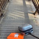 스테이 겨를 | [25.11.15~11.16]낙산사 템플스테이 후기 숙소컨디션 템플스테이일정