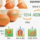 광수광택 | 좋은 달걀 고르는 법과 열자리 난각 번호 해석 가이드