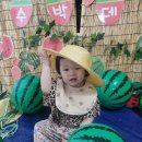 🍉수박오감놀이 🍉 이미지