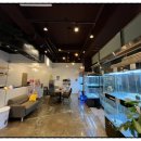 드림독 강아지분양 안심분양센터 김포점 이미지