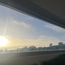 복덩이 건강센터 | 호주 시드니 힐링 가득 행복한 앨리스의 주말이야기 코스트코 - 마스덴 양조장