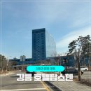 호텔탑스텐 | 강릉 대가족숙소 탑스텐호텔 퀸스위트 후기 금진온천까지 못잃어