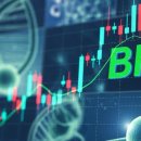 (주)명인바이오 이미지