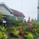 아쿠아춘천닭갈비 이미지