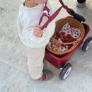 행복한 딸기농장 | 수도권 근교 딸기체험 ㅣ화성 더나은딸기 농장 후기 (사진맛집)