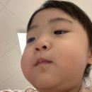 몽이묭실 이미지