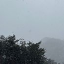 필리가 캠핑 이미지