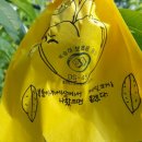 삼포초등학교 이미지