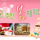 버섯구지체험마을 이미지