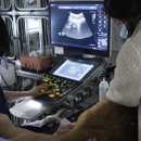 의료법인 중인 의료재단 이미지