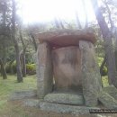 부산대학교박물관 이미지