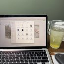 산호목욕탕 | 미루고 미루고 미룬 첫 나고야 여행기 (with. 지브리)