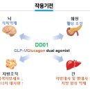 디앤디파트너스