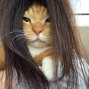 이지미용실 이미지