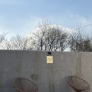 루비애견 | [춘천/애견동반숙소] 춘천 신상 독채애견풀빌라 스테이루비 내돈내산 후기