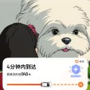 [중국/베이징]2박3일 첫 중국여행 준비(중국어 1도 못함) 환전 | 로밍 | 유심 | 투어 추천 | 필수 준비물