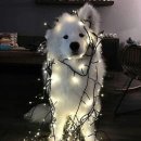 더 건강한 동물병원 이미지