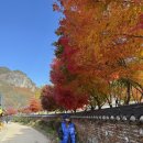 용연공원 | 국내 단풍명소 가을여행 경북 청송 주왕산 국립공원 용연폭포 주왕계곡 등산코스 실시간