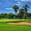 금잔디 골프 클럽 이미지