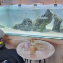 아쿠아 커피연구소 이미지