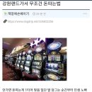 [비밀 유출] 강원랜드에서 돈버는 법 이미지