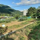 중석농장 이미지