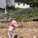 은별농장 이미지