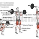 기초근력운동 이미지