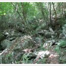 함양 지장골-거망샘-거망산-은신치-은신암-용추자연휴양림 2 이미지