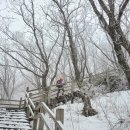 [명산 100] 가지산, 운문산-영남알프스