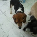 로또하우스 이미지