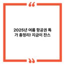 (주)항공실업 | 2025년 여름 항공권 특가 총정리! 지금이 찬스