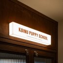 퍼피스쿨 이미지