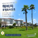 산내초교 앞 횡단보도(1) | [제주도/숙소] 해비치호텔&amp;리조트 호캉스 후기 (ft. 수영장, 무료 셔틀버스)