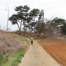 회화보건지소 Daum카페