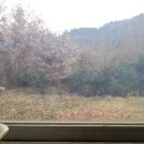 산자락에 이미지