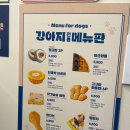 강아지 와요와요 | [광명사거리 카페] 강아지도 함께 즐길 수 있는 츄러스 젤라또 맛집 '와요커피' 방문 후기