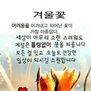 이런 사람 이미지