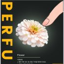 목림 이미지